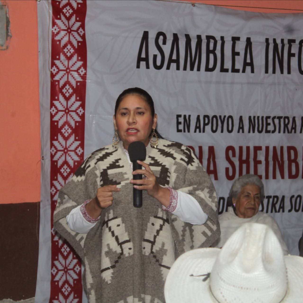 Ante embates de la derecha, fundamental refrendar apoyo a la presidenta Sheinbaum: Ana Lilia Rivera